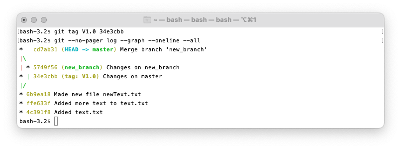 git tag example