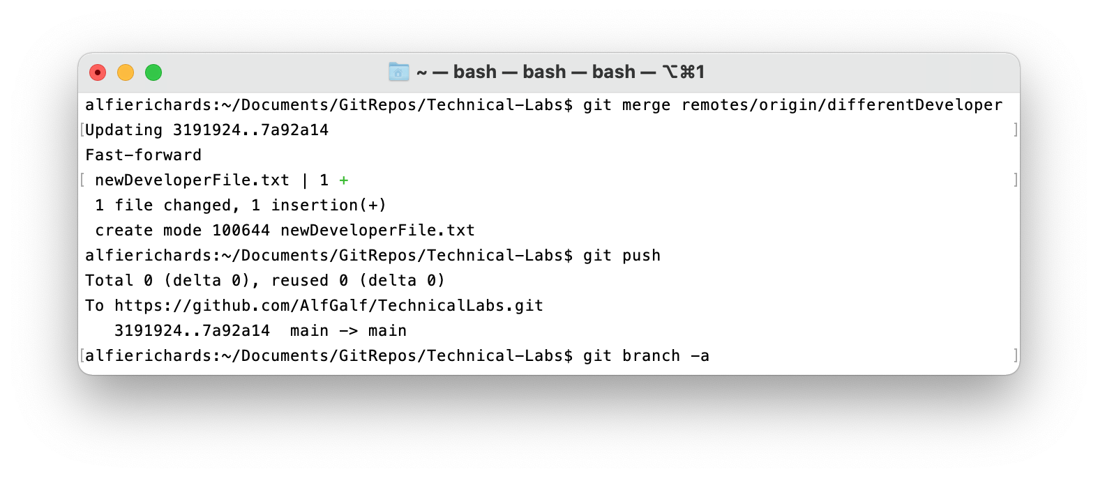Git merge other developers 
changes