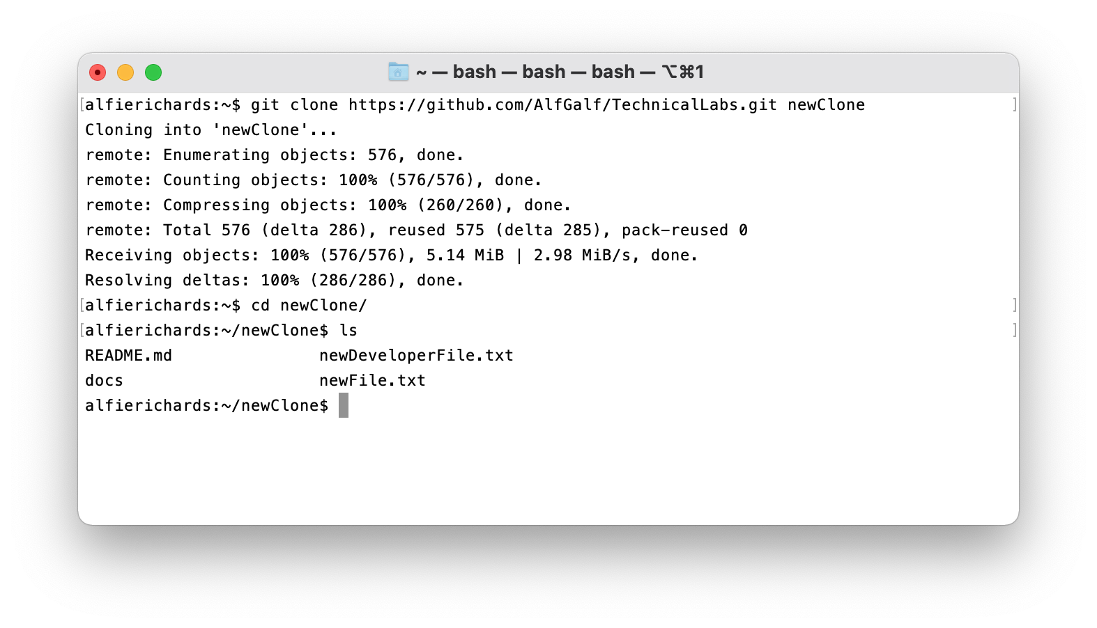 Git clone example